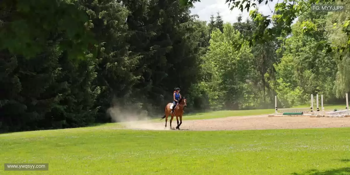 🏀 巅峰之战,不容错过!全球赛事同步直播,零时差感受速度与激情!